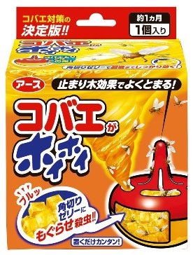 kobae